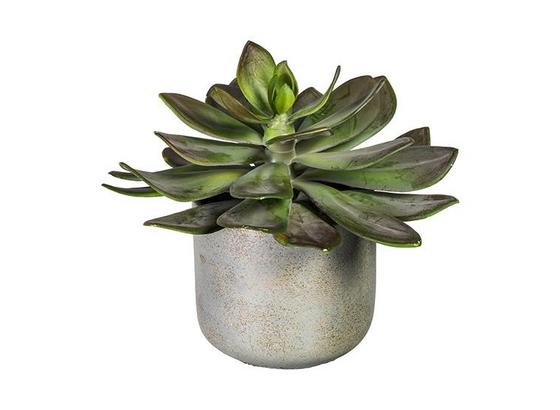 Rostlina Umělá Echeveria I - šedá/zelená, umělá hmota (18/21cm) Rostlina Umělá Echeveria I - šedá/zelená, umělá hmota (18/21cm)