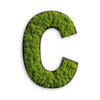 Moosbild Grün B: 27 cm - Schwarz/Grün, Basics, Naturmaterialien/Holz (12-20/25/3,5cm)