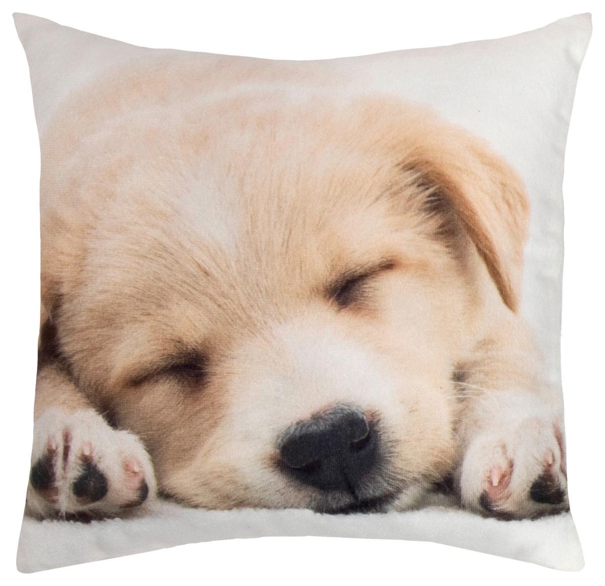 Zierkissen Timi 25x25 Cm Polyester Multicolor - Schwarz/Braun, KONVENTIONELL, Textil (25/25cm) - Ondega
