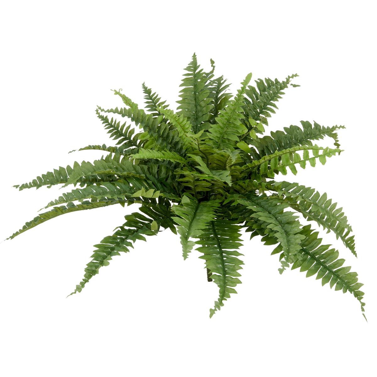 Kunstpflanze Bostonfarn Kunststoff, Grün, D: 70 cm - Grün, Basics, Kunststoff (70cm) - P & B