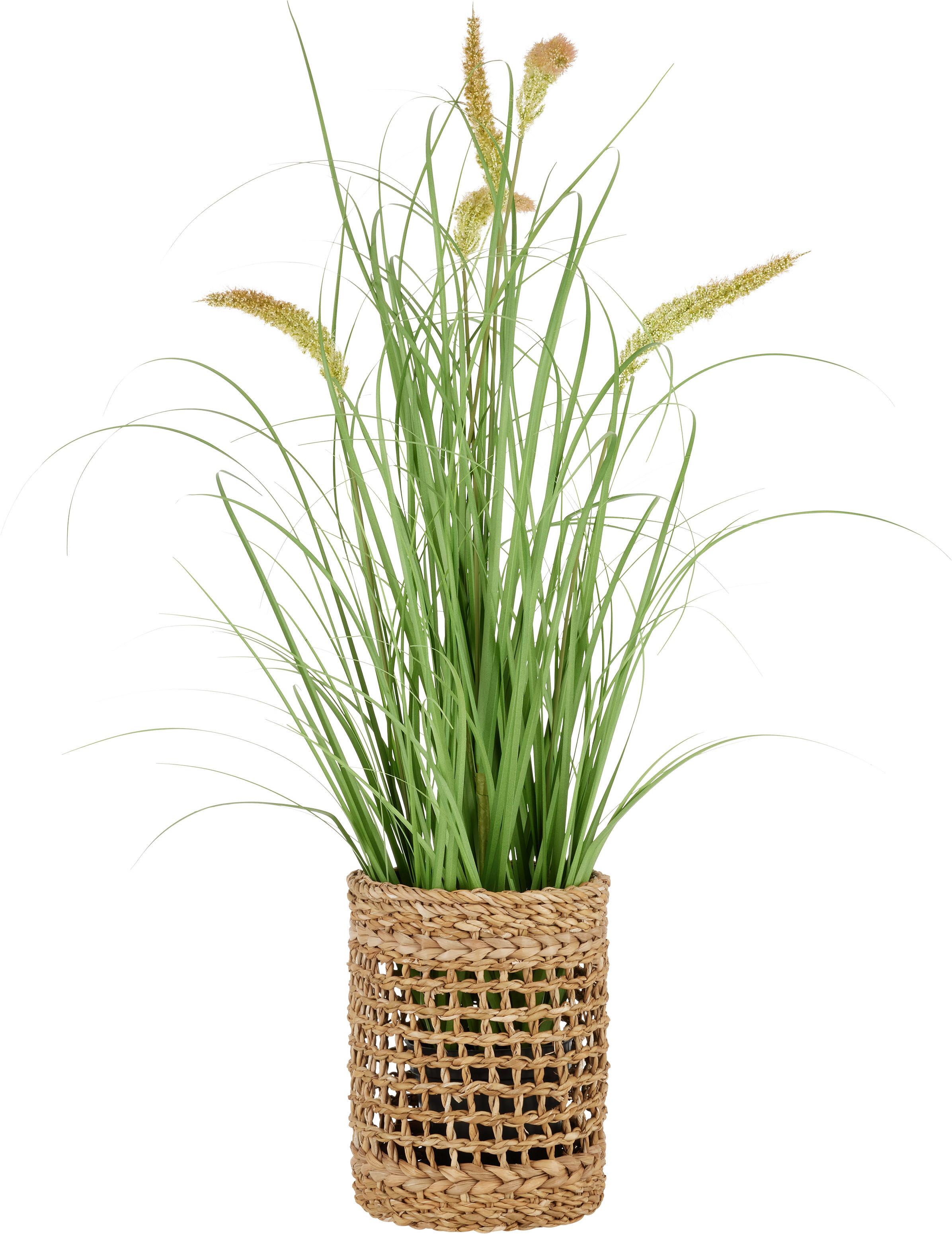 Umělá rostlina Penisetum, V: ca. 97cm - černá/zelená, Basics, textil/plast (97cm) - Modern Living