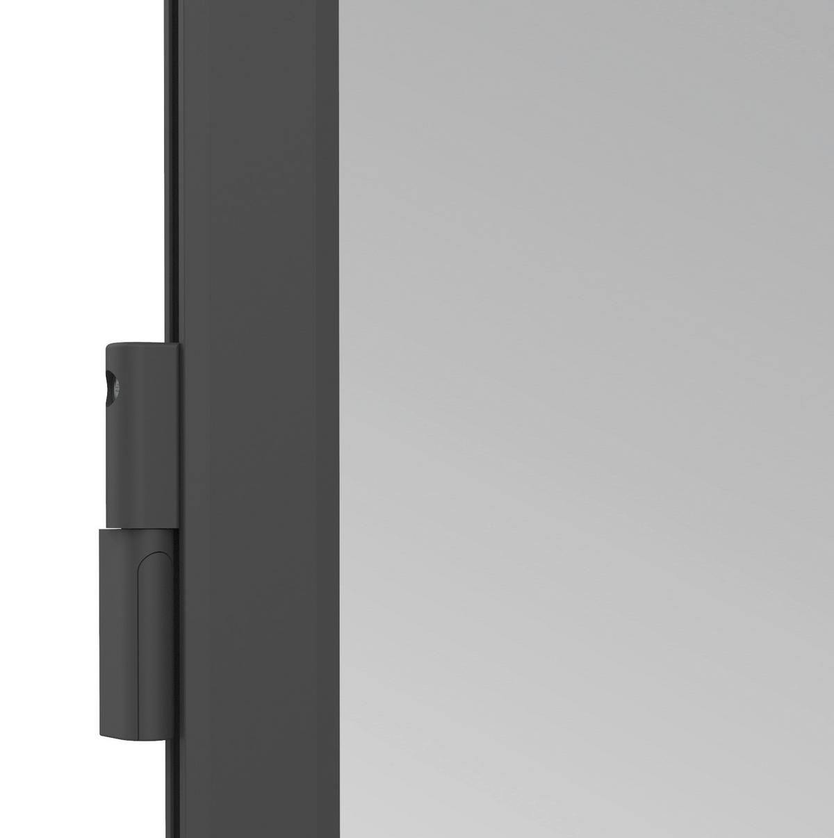 Fliegengitter Türe 100x210 Cm Anthrazit - Anthrazit, Basics, Metall (100/210cm)