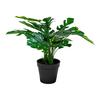 Kunstpflanze Monstera Grün B: 40 Cm - Grün, Design (40/45/40cm)