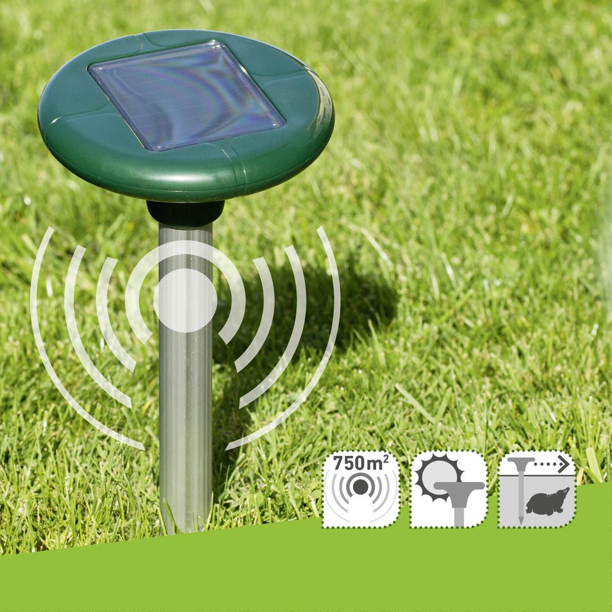 Ultraschall-tiervertreiber Wühlmaus Solar 4 Star - Grün, Basics, Kunststoff (160cm)