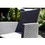 Gartensessel Iowa Polyrattan mit Polster - Hellgrau/Graphitfarben, MODERN, Kunststoff (60/89/62cm) - Allibert Gartensessel Iowa Polyrattan mit Polster - Hellgrau/Graphitfarben, MODERN, Kunststoff (60/89/62cm) - Allibert