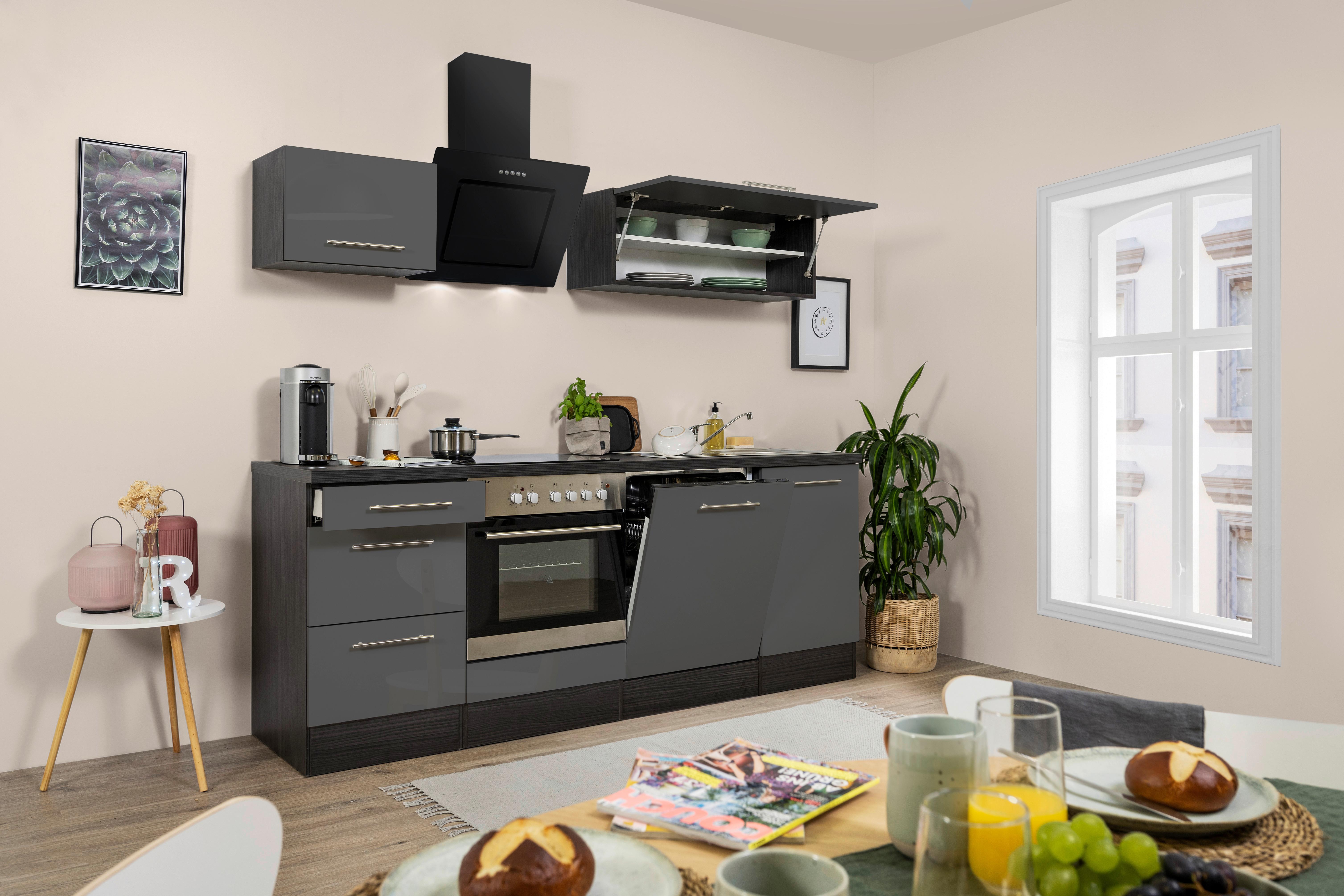 Küchenzeile Rp220egc mit Geräte 220 cm Grau - Grau, Basics, Holzwerkstoff (220cm) - Respekta