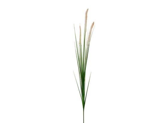 Rostlina Umělá Penisetumgras - krémová/zelená, Basics, umělá hmota (92cm) Rostlina Umělá Penisetumgras - krémová/zelená, Basics, umělá hmota (92cm)