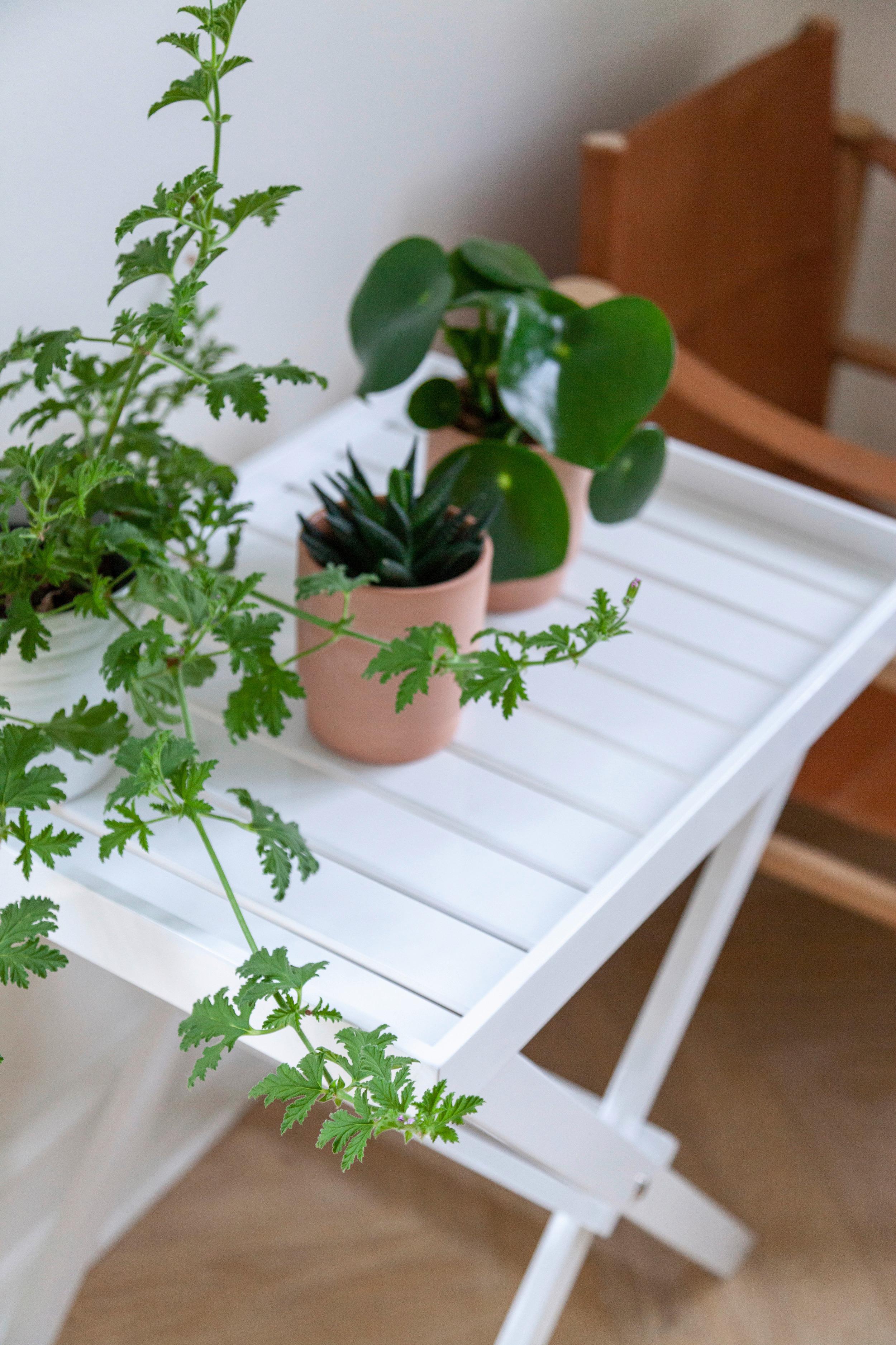 Gartentisch TRAY TABLE von MID.YOU aus Mahagoniholz in Weiß Milieu Detail