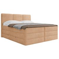 Boxspringbett mit Topper & Bettkasten 160x200 Castel - Terracotta/Schwarz, MODERN, Holz/Holzwerkstoff (160/200cm) - MID.YOU