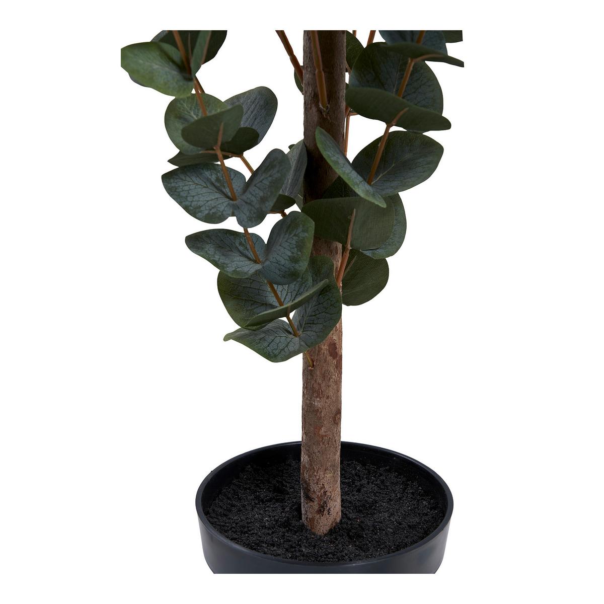 KUNSTPFLANZE Eucalyptus Grün B: 46 cm - Grün, Design (46/120/36cm)