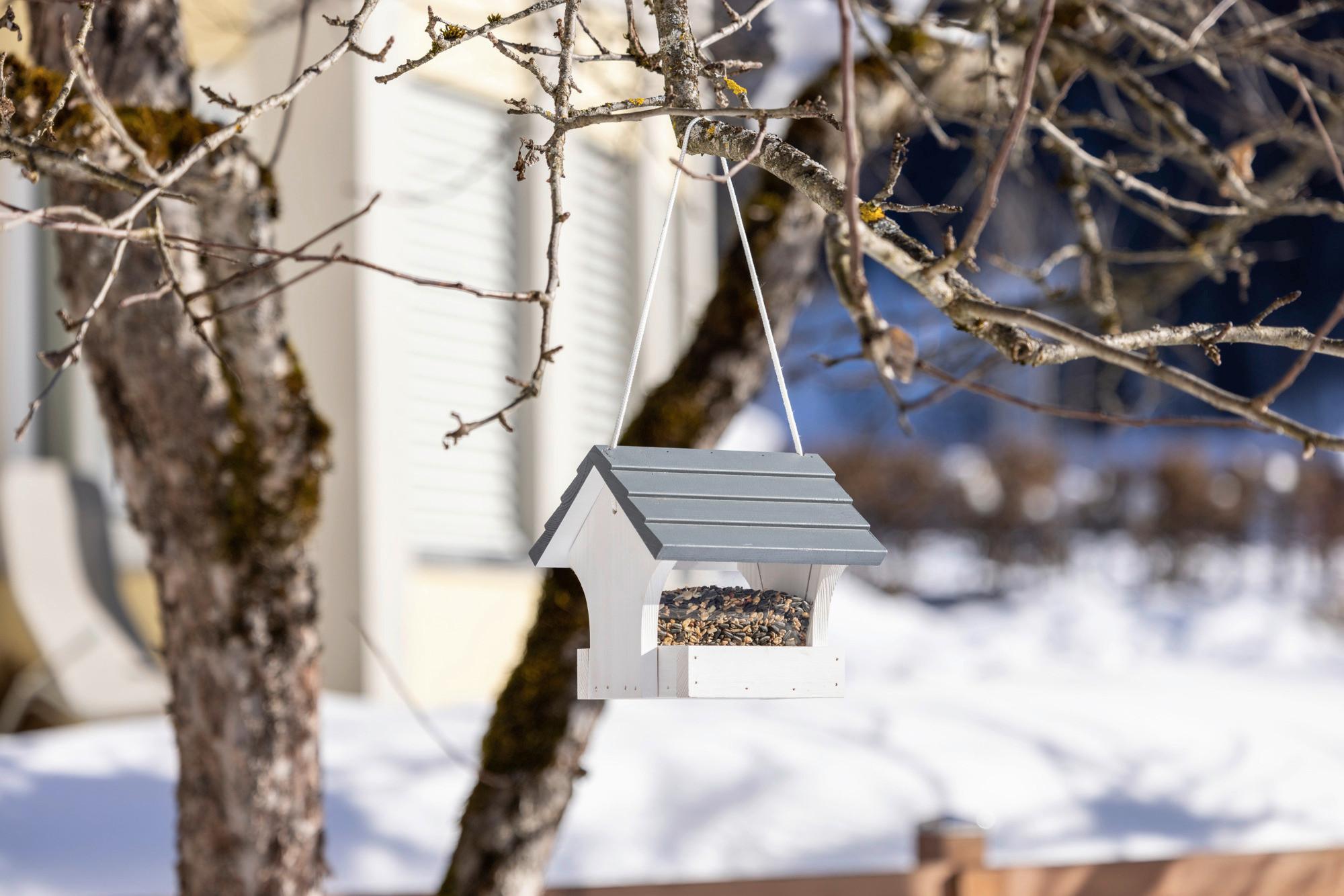 Vogelfutterhaus Sparber Kiefer - Weiß, Basics, Holz (17/20/21cm) - Windhager