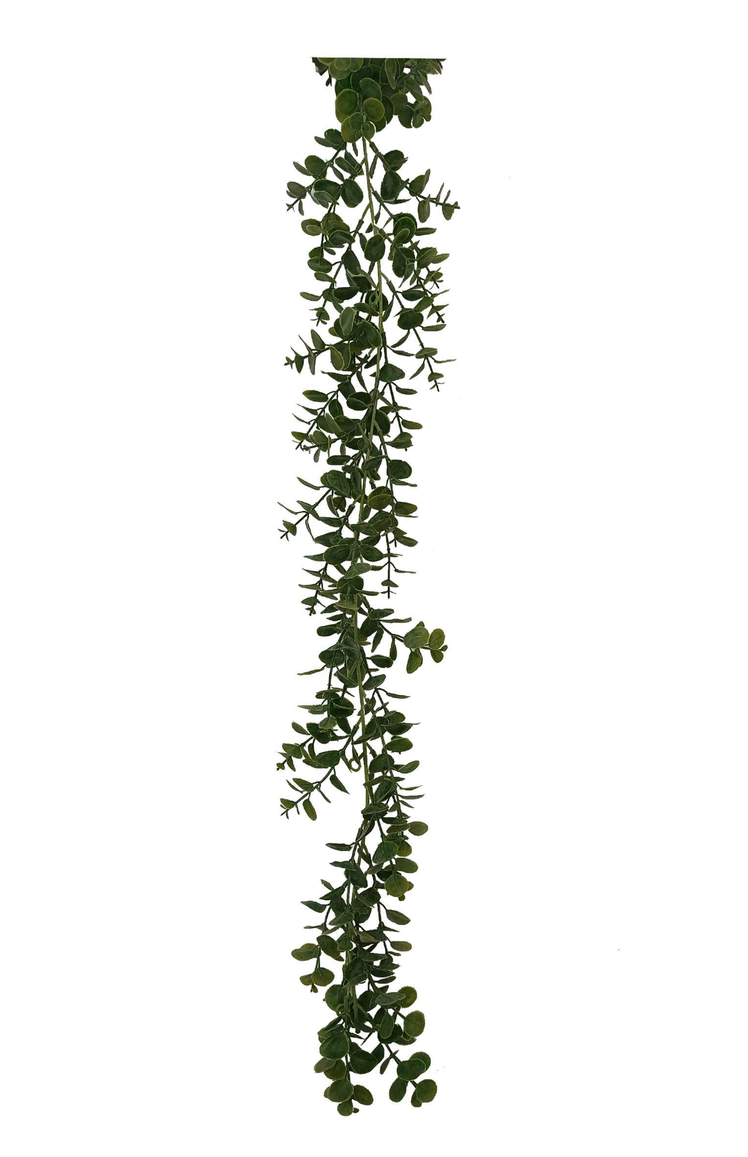 Kunstpflanze Kurt - Grün, MODERN, Kunststoff (178/8/5cm) - Luca Bessoni