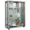 Vitrine Sintalo Silberfarben B: 60 Cm - Silberfarben/Schwarz, MODERN, Glas/Holzwerkstoff (60/80/25cm) - MID.YOU