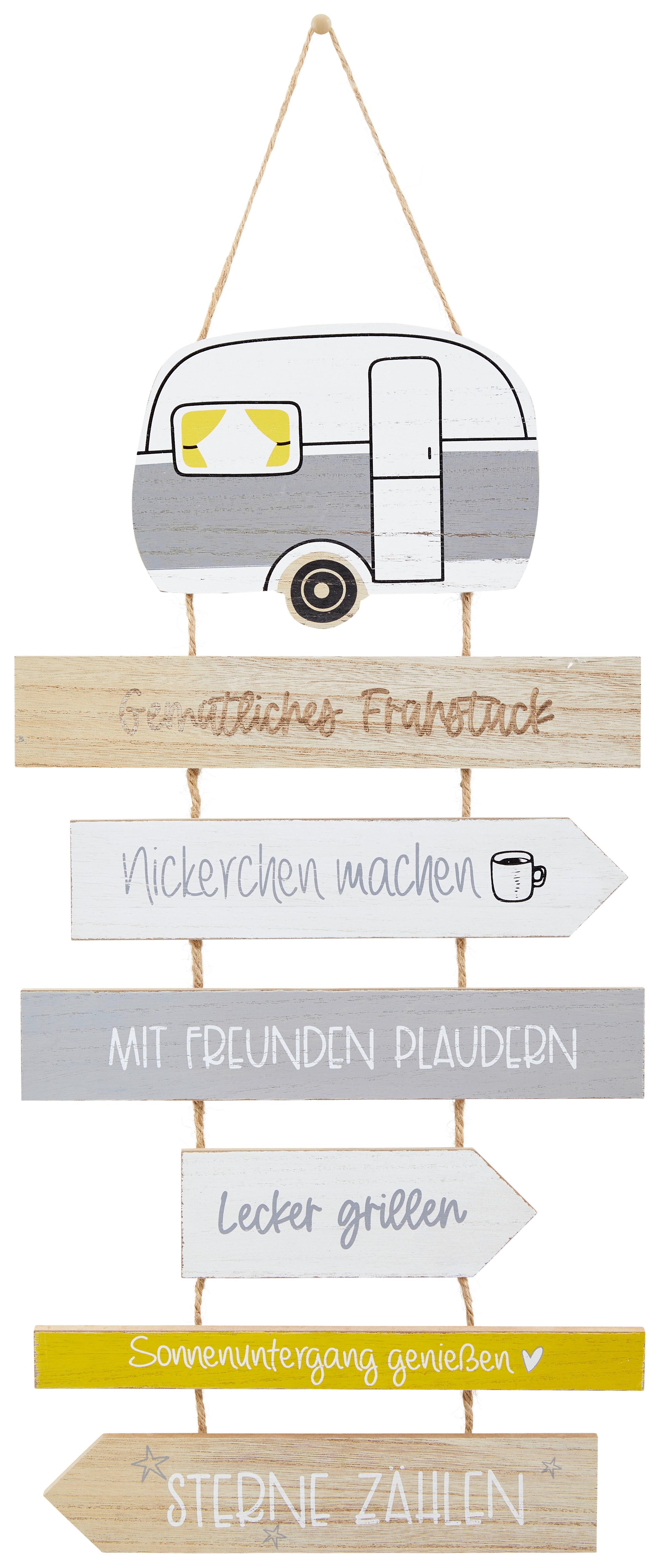 Dekoschild Camping-Regeln - Multicolor, MODERN, Holzwerkstoff (30/59cm)