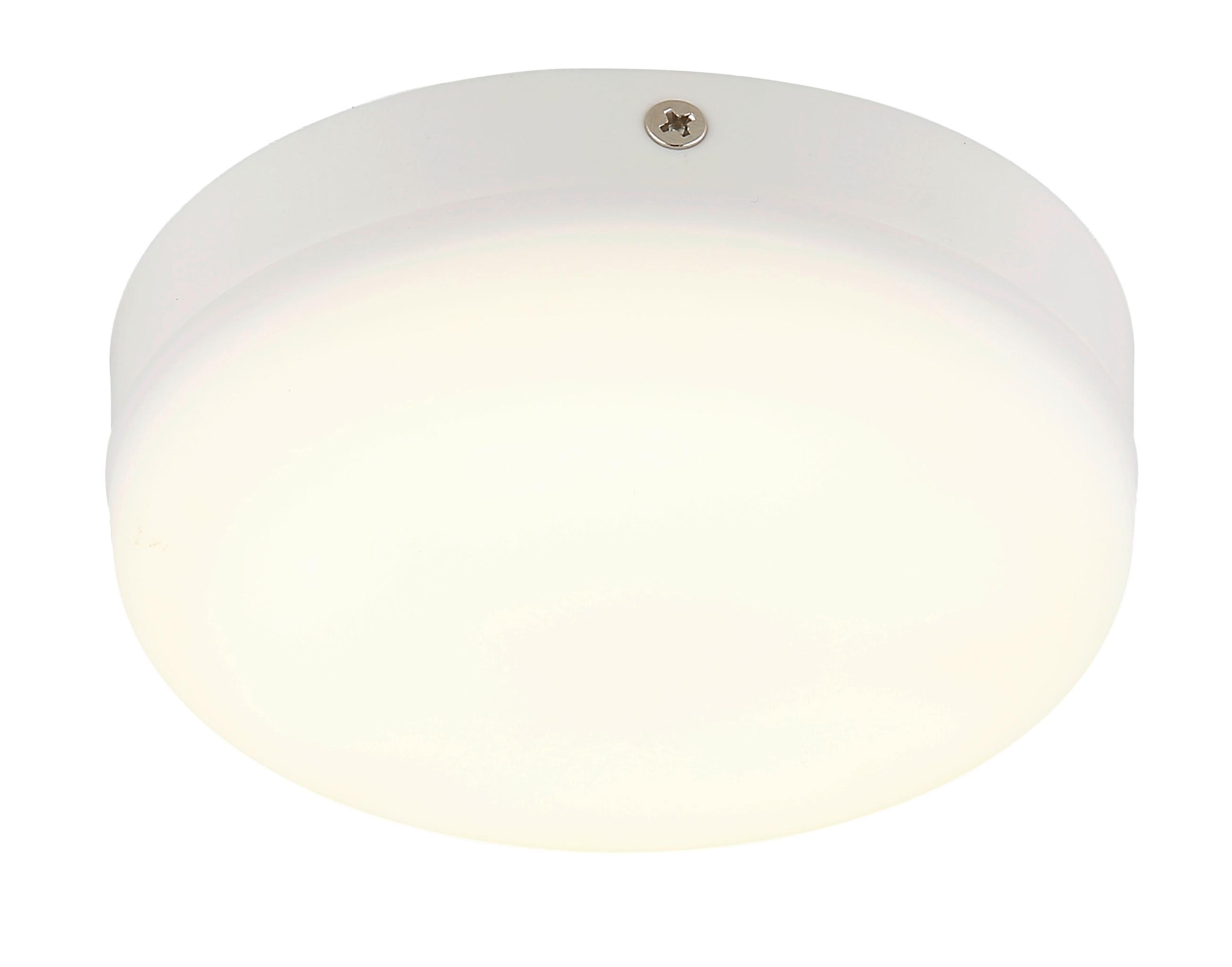 STROPNÍ LED SVÍTIDLO SMALI - bílá/opál, Moderní, plast (12/4,5cm) - Mömax