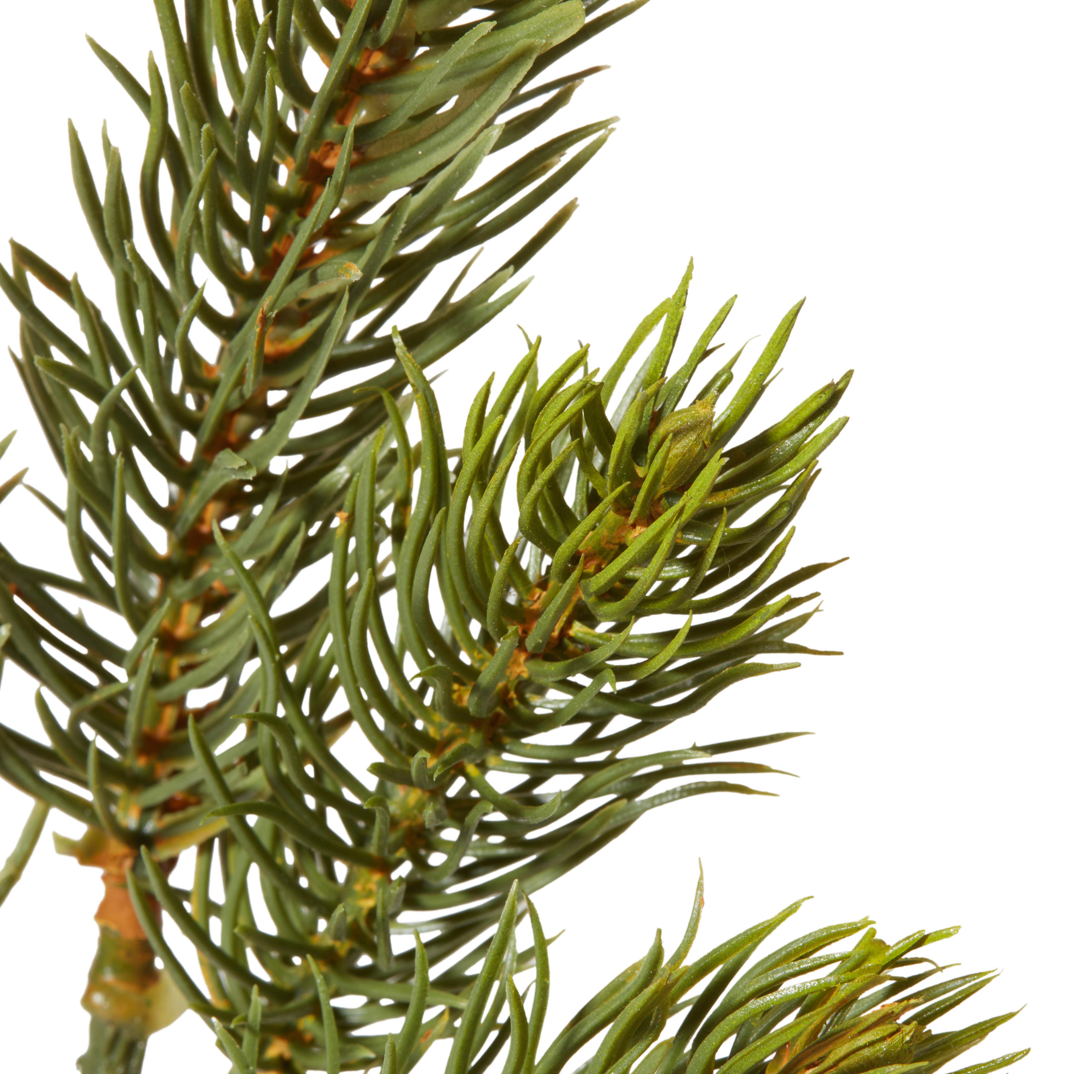 Weihnachtsdeko Zweig Kunststoff Grün, H: 24 cm - Braun/Grün, Basics, Kunststoff (24cm)