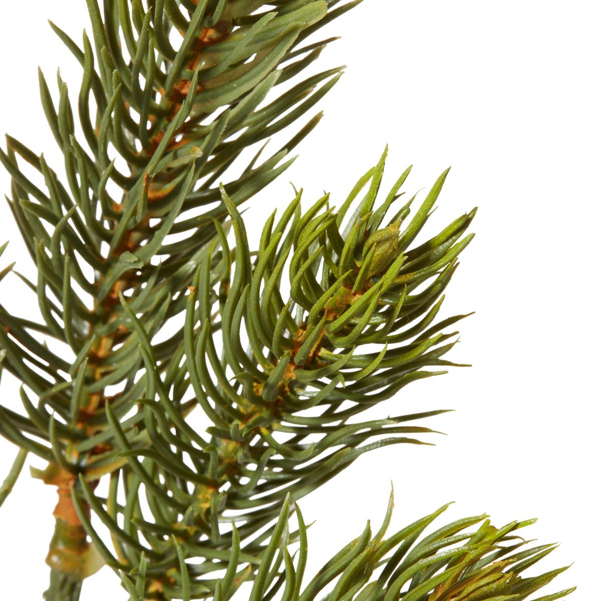 Weihnachtsdeko Zweig Kunststoff Grün, H: 24 cm - Braun/Grün, Basics, Kunststoff (24cm)