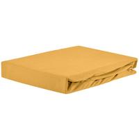 Spannleintuch Jardena Honig 180x200 cm Baumwolle - Honig, KONVENTIONELL, Textil (180-200/200cm) - James Wood