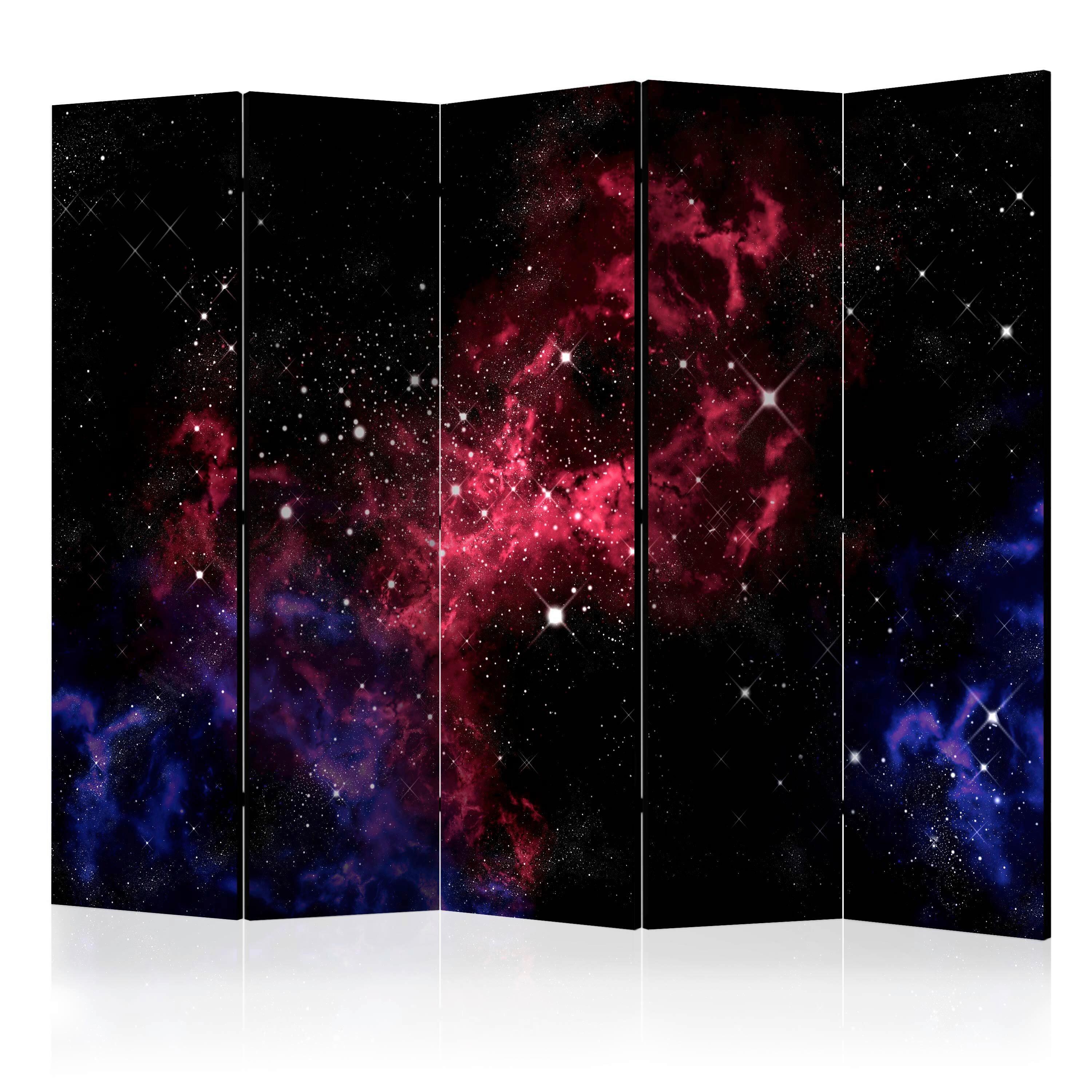 Paravent Schwarz Magenta B: 225 cm - Magenta/Schwarz, Basics, Holz/Textil (225/172/3cm) - artgeist
