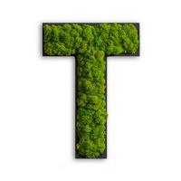 Moosbild Grün B: 25 cm - Schwarz/Grün, Basics, Naturmaterialien/Holz (25/19/4cm)