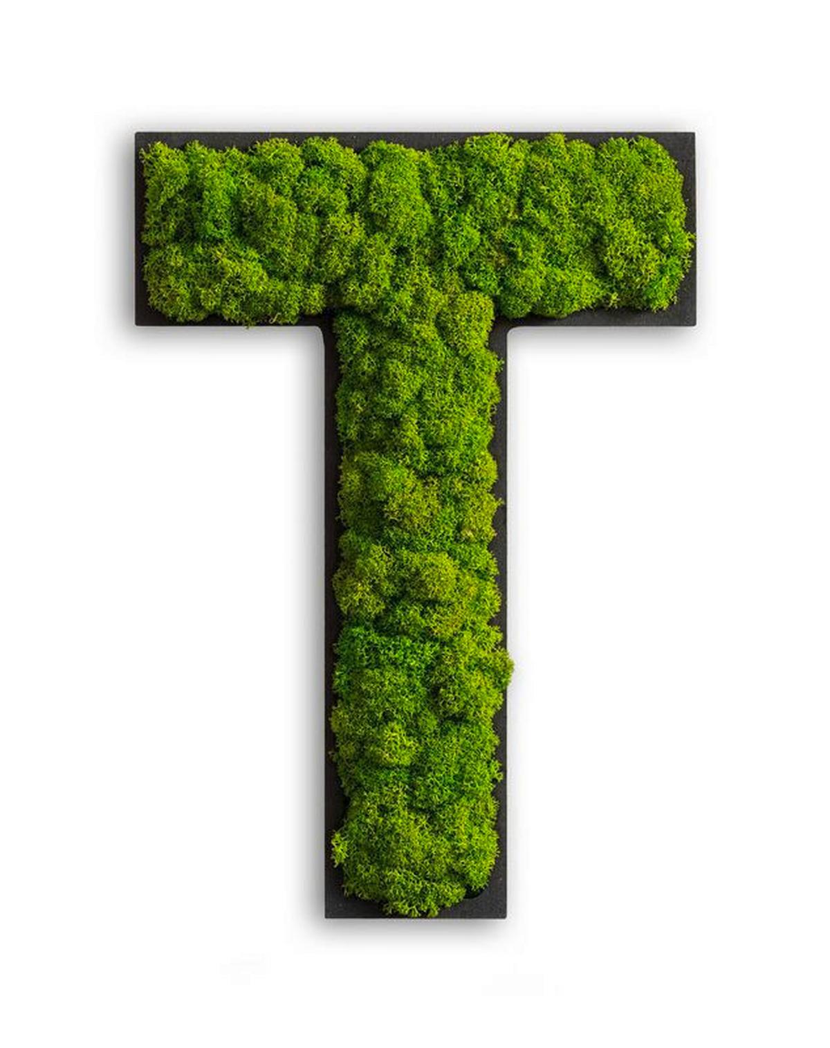 Moosbild Grün B: 25 cm - Schwarz/Grün, Basics, Naturmaterialien/Holz (25/19/4cm)