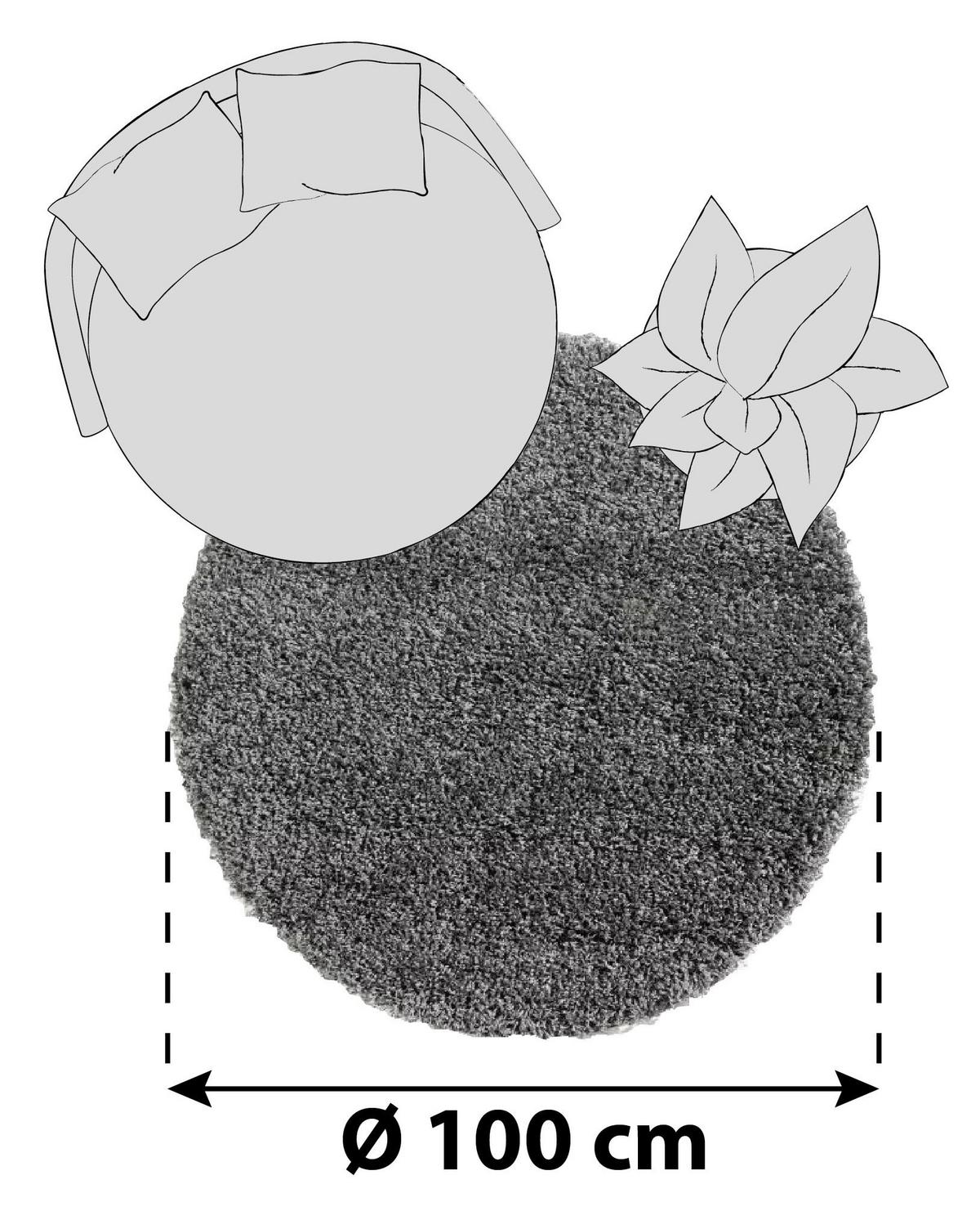 Hochflorteppich Fashion Shaggy Grau Rund Ø 100 cm - Grau, Basics, Textil (100cm) - Novel