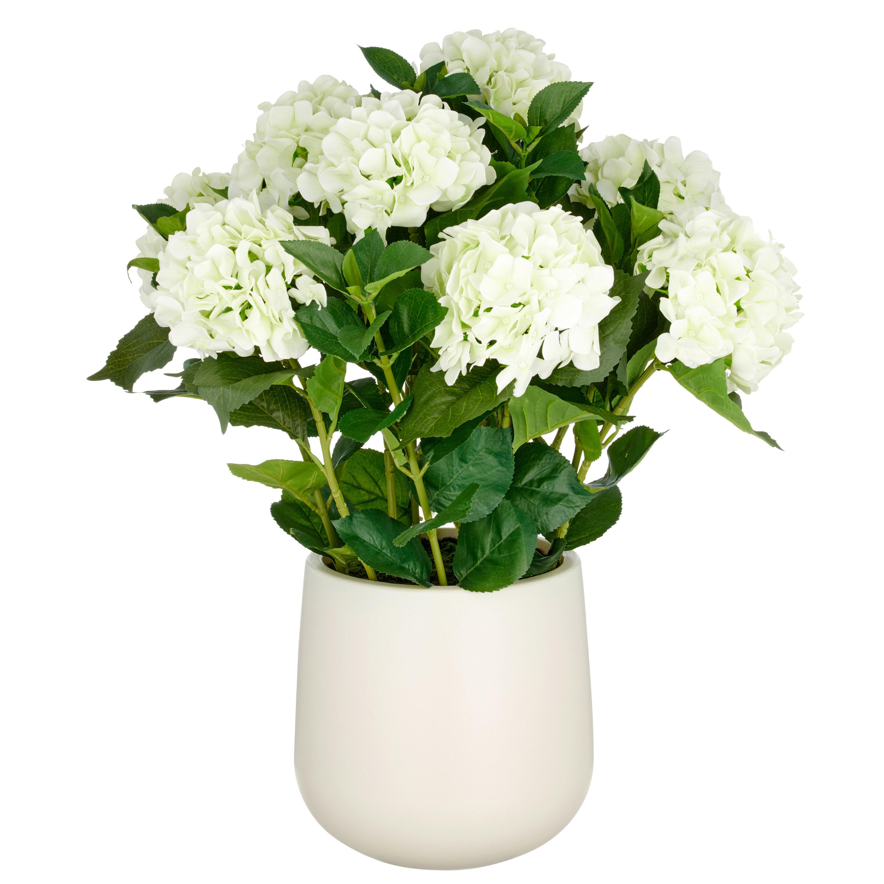Kunstpflanze Creme Grün B: 25 cm - Creme/Grün, Basics, Kunststoff (25/75/25cm)