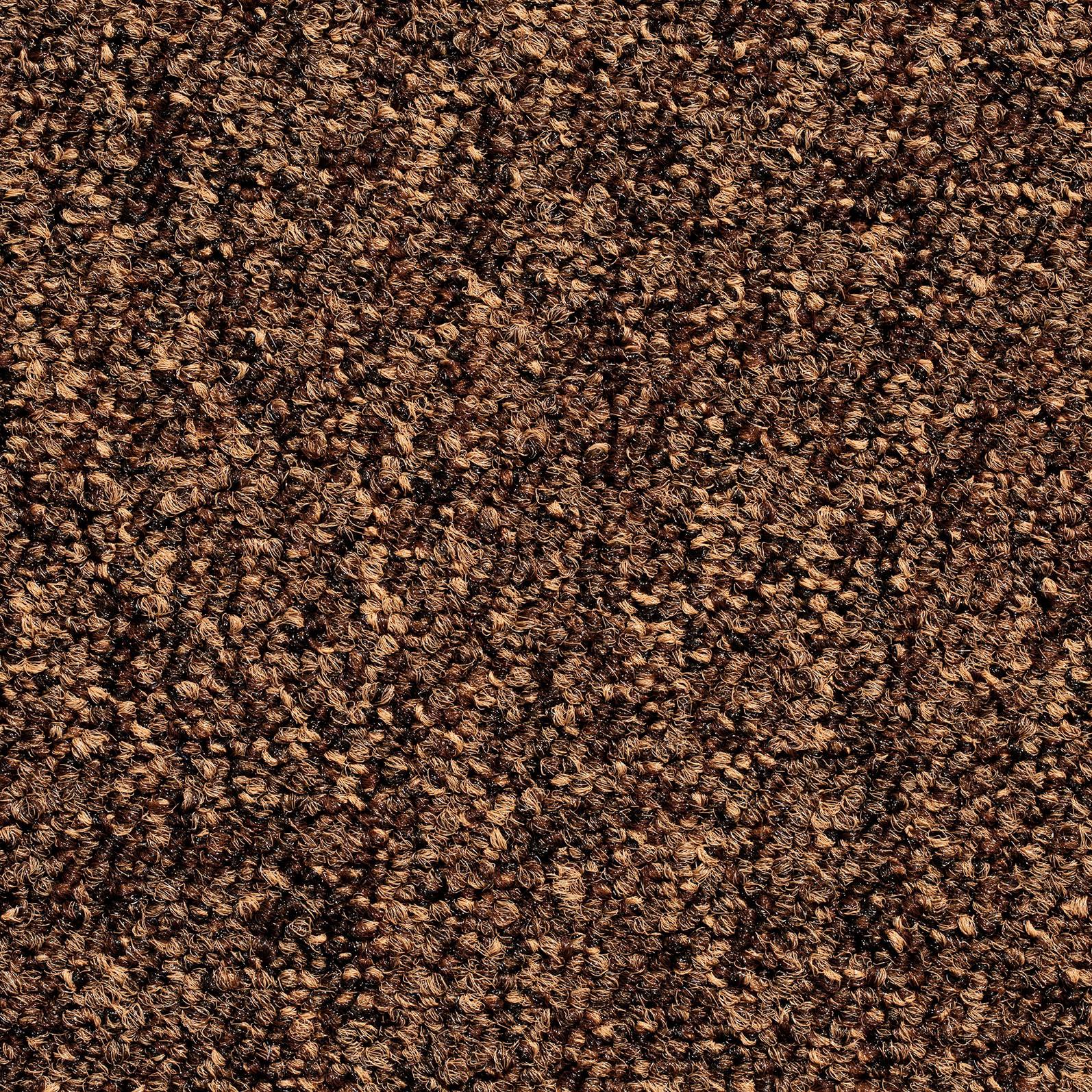 Teppichfliese Braun Mustang 50x50 Cm Florhöhe 3 Mm