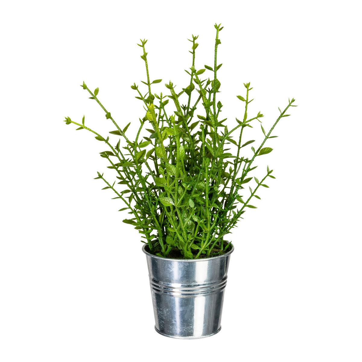Kunstpflanze Kräuter 23 cm Grün/Silberfarben/Zinkfarben - Silberfarben/Zinkfarben, Design, Kunststoff/Metall (23cm) - P & B