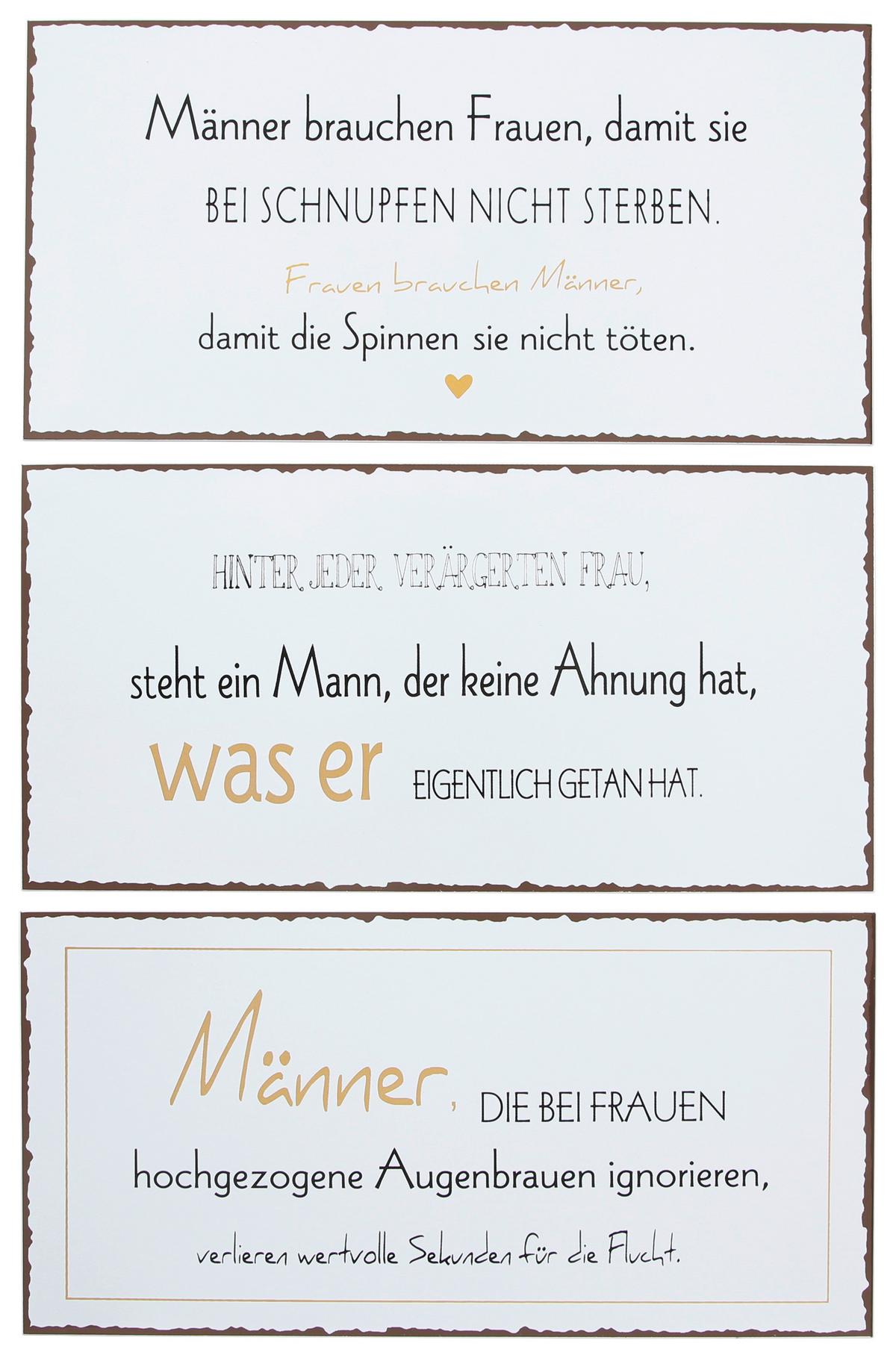 Metallbild Männer Versch. Sprüche 40x20 cm - Hellgrau, Basics, Metall (40/20cm)