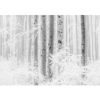 Vliestapete Winter Wood - Schwarz/Weiß, Basics (400/280cm) - Komar