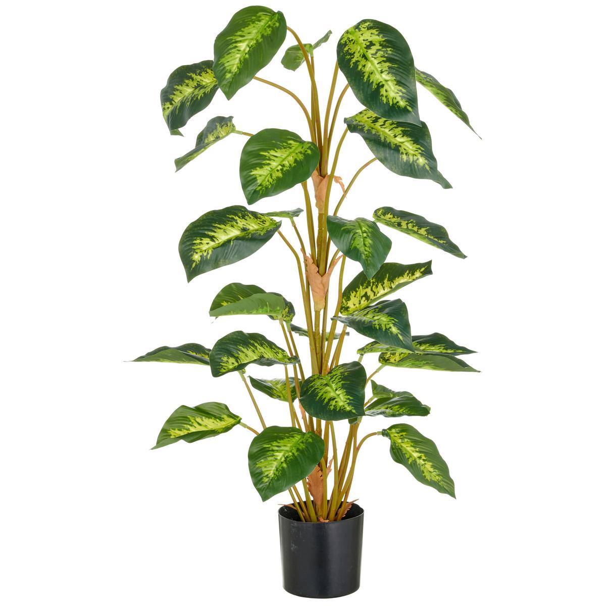 Kunstpflanze Diffenbachia Kunststoff, Grün, H: 90 cm - Schwarz/Braun, Basics, Kunststoff (90cm) - P & B
