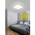 LED-Deckenleuchte Severin - Silberfarben/Weiß, MODERN, Kunststoff/Metall (30/30/5,5cm) - Luca Bessoni