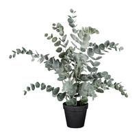 Umělá rostlina Eucalyptus, V: 53cm - šedá/černá, Basics, plast (53cm) - Modern Living