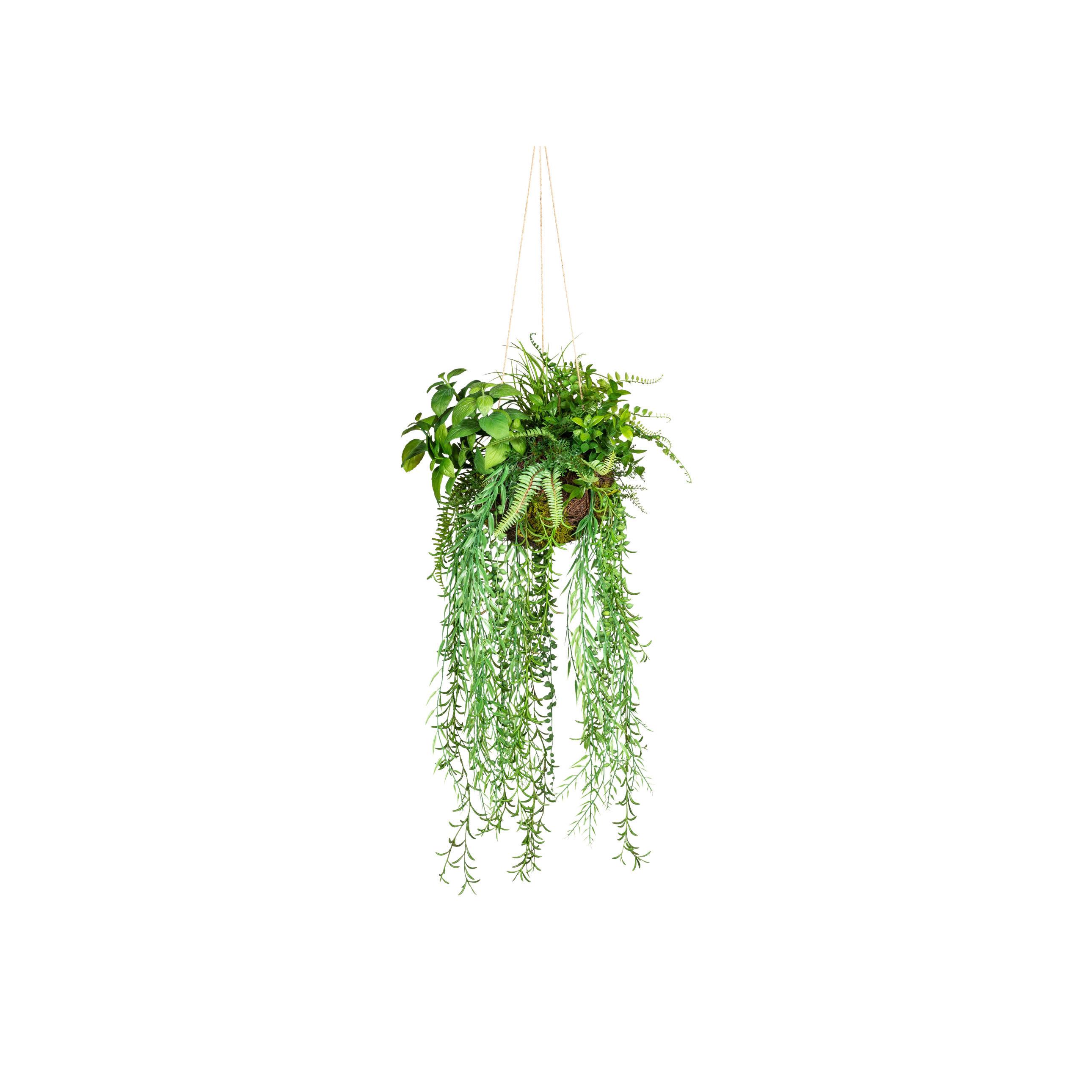 Kunstpflanze, Grün inkl. Aufhängung, H: 30 cm - Grün, Design, Kunststoff (30cm) - P & B