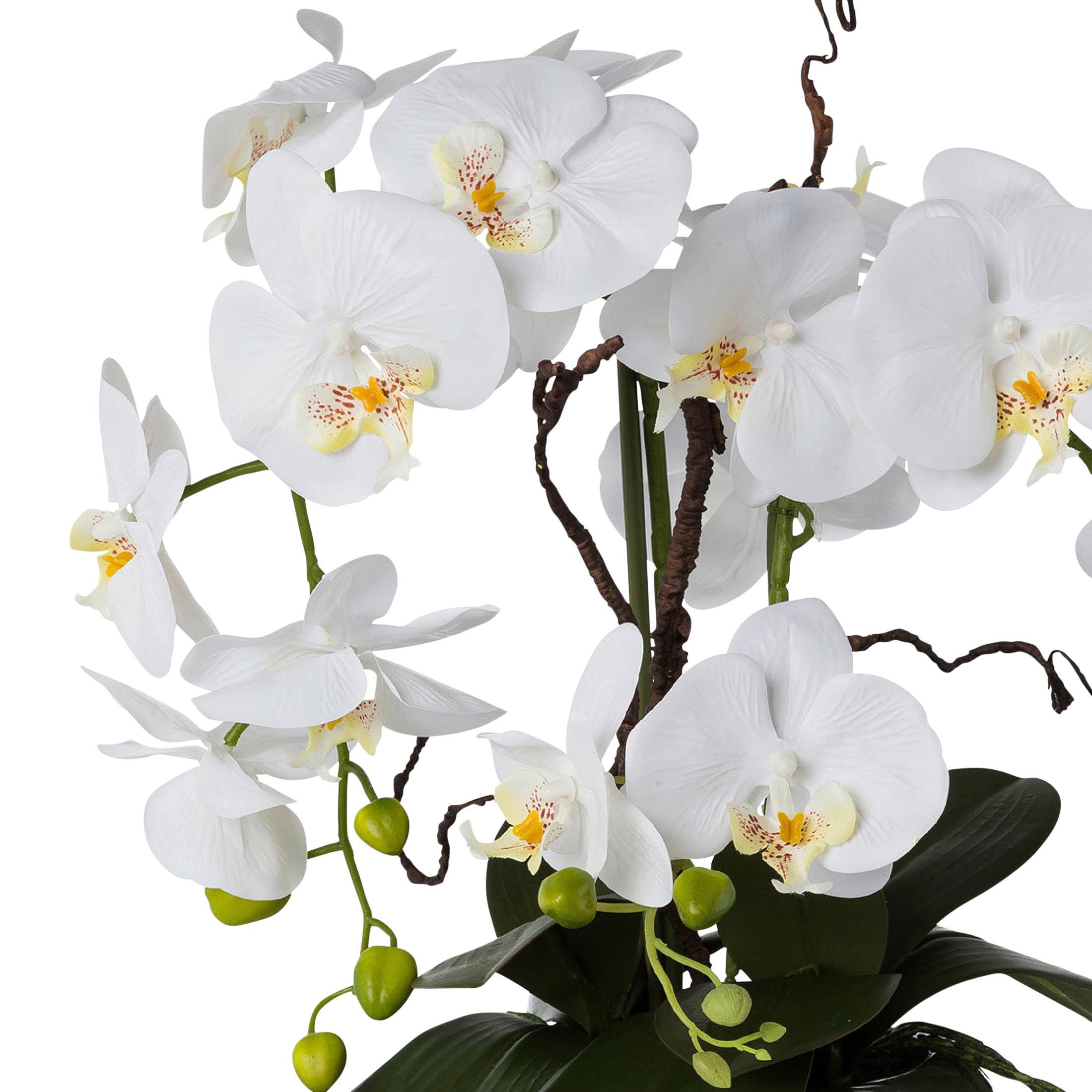 Kunstpflanze Orchideen, Weiß Topf: Silberfarben, H: 55 cm - Silberfarben/Weiß, Design, Keramik/Kunststoff (55cm) - P & B