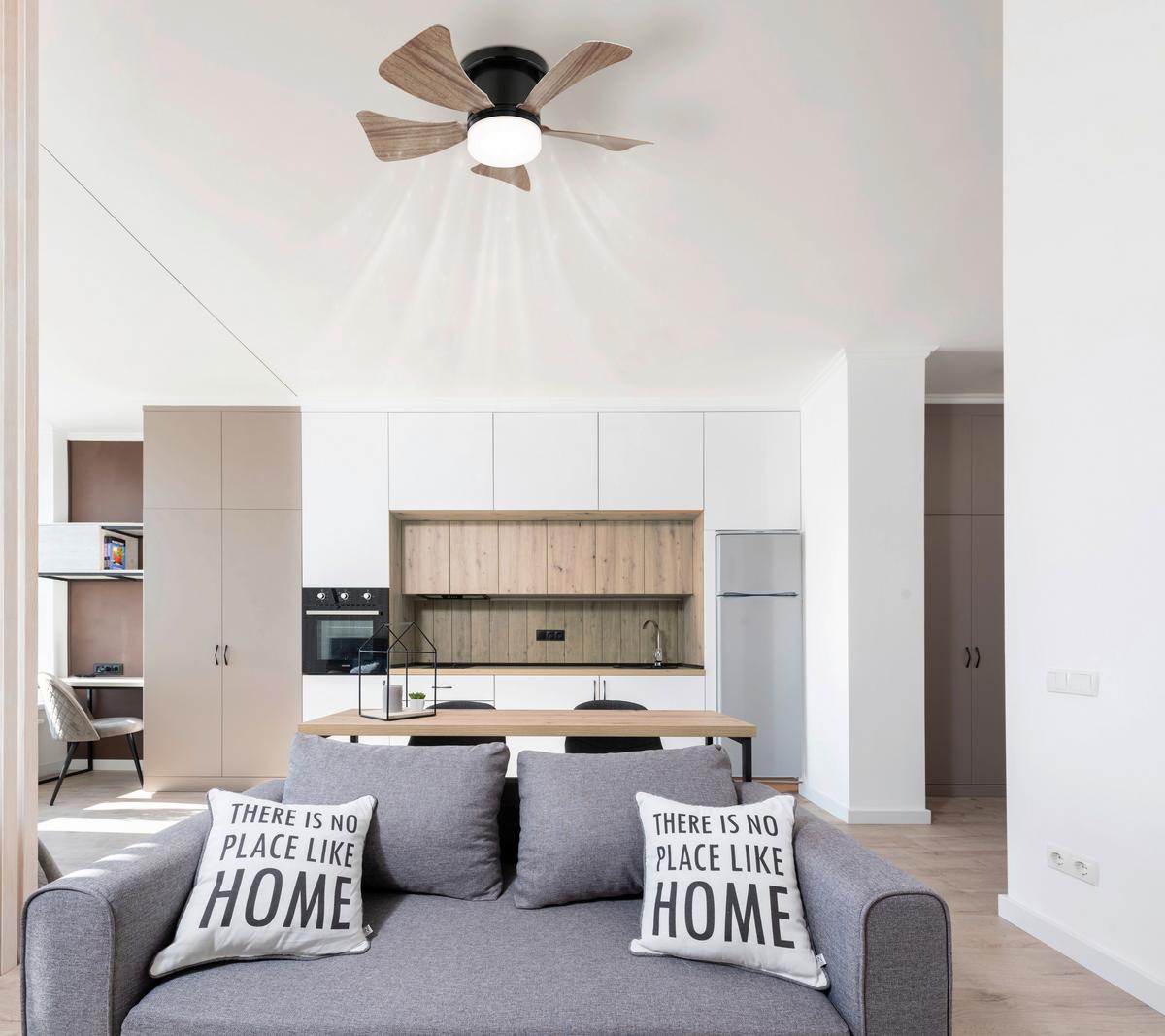 Deckenventilator Pauli - Schwarz/Naturfarben, Basics, Kunststoff/Metall (40,6/13cm) - James Wood