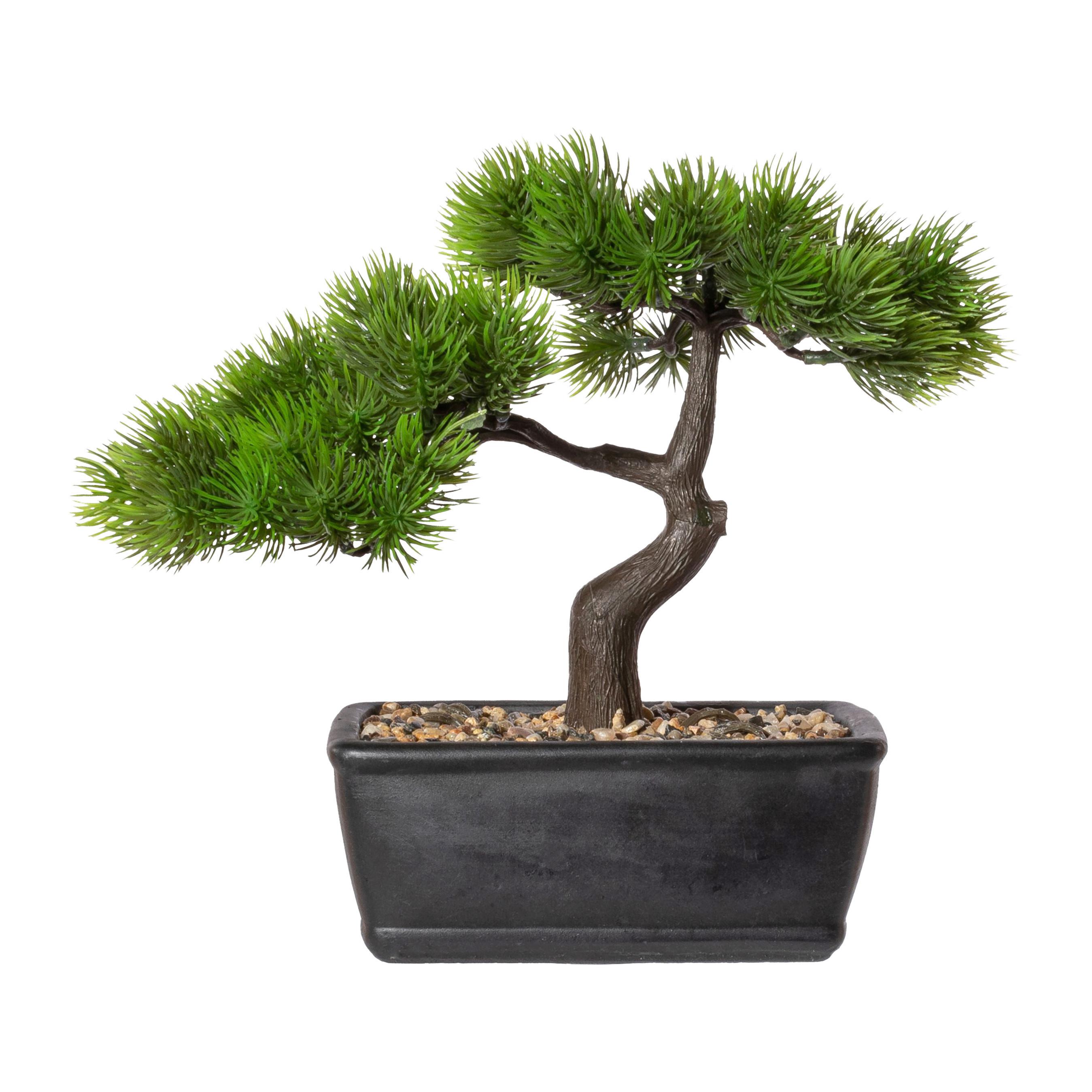 Kunstpflanzen Bonsai Braun/Grün/Schwarz, 23 cm - Schwarz/Braun, Design, Keramik/Kunststoff (23cm) - P & B