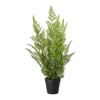 UMELÁ RASTLINA FARN I - čierna/zelená, Basics, plast (55cm) - Modern Living