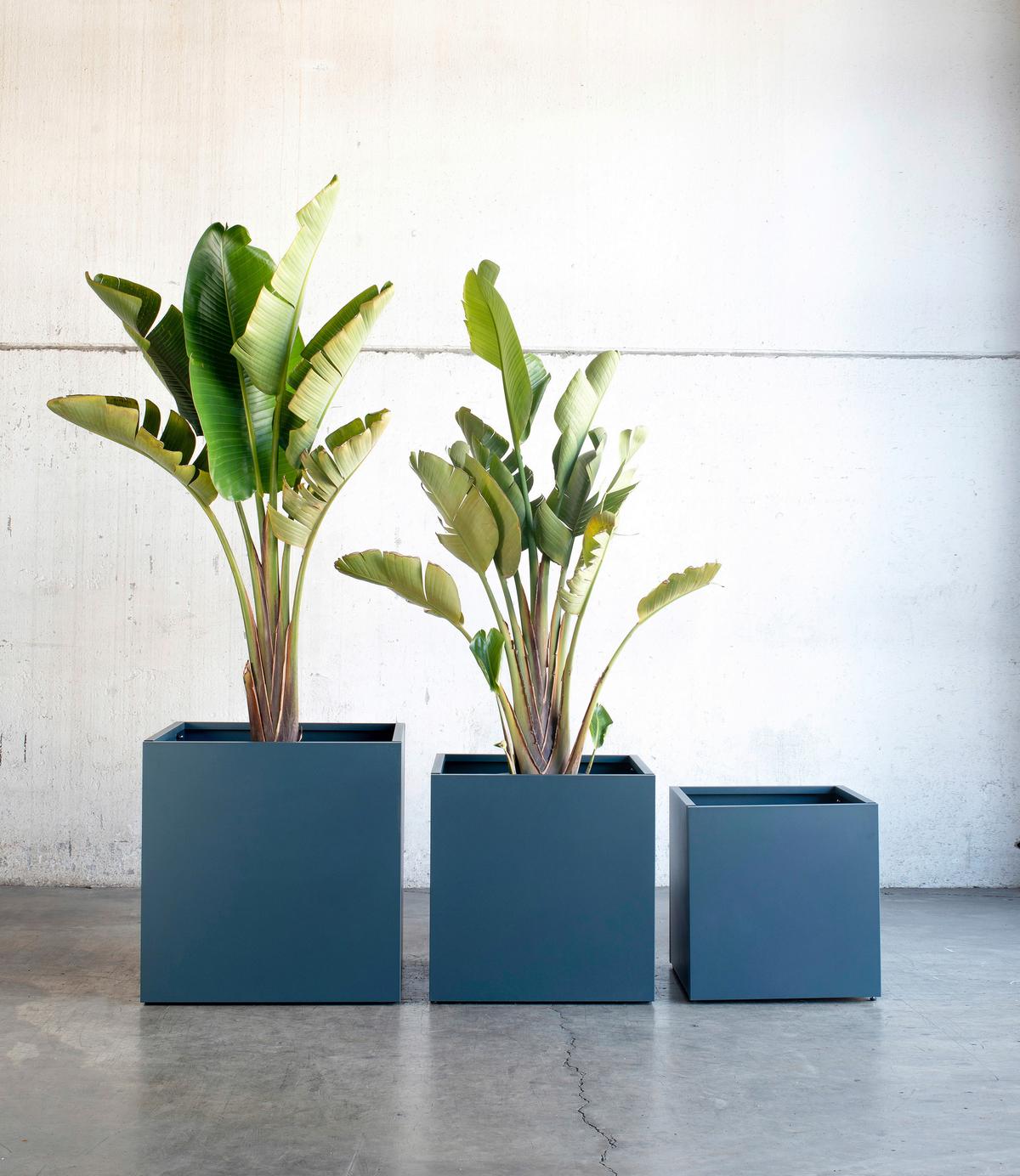 Pflanzentopf Pflanzkasten 50x50x50 - Anthrazit, Basics, Metall (50/50/50cm)