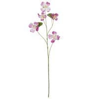 Dekozweig Bauhinia I Pink/Braun - pink/hnědá, Konvenční, plast (108cm) - Mömax
