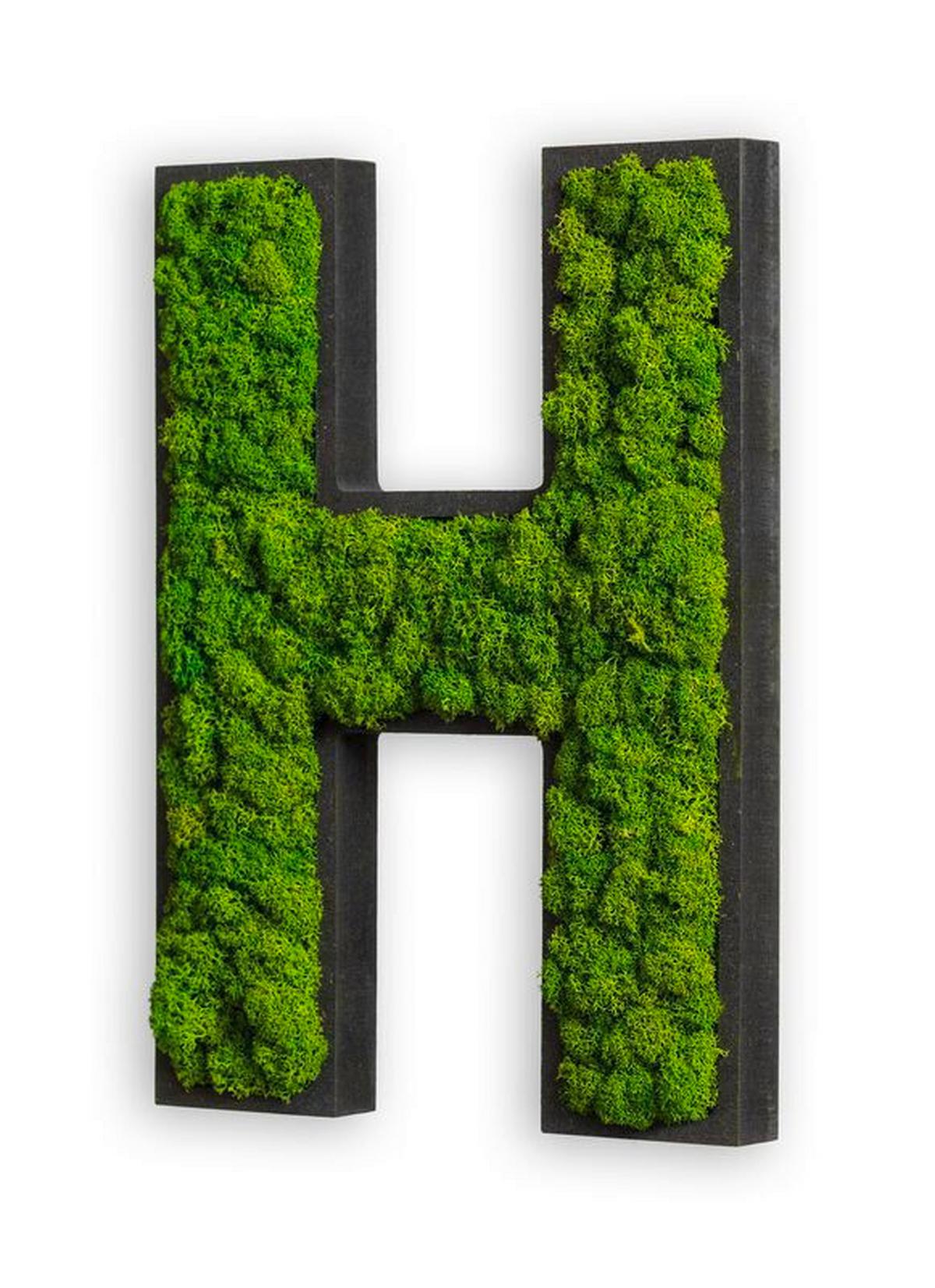 Moosbild Grün B: 25 Cm - Schwarz/Grün, Basics, Naturmaterialien/Holz (25/19/4cm)