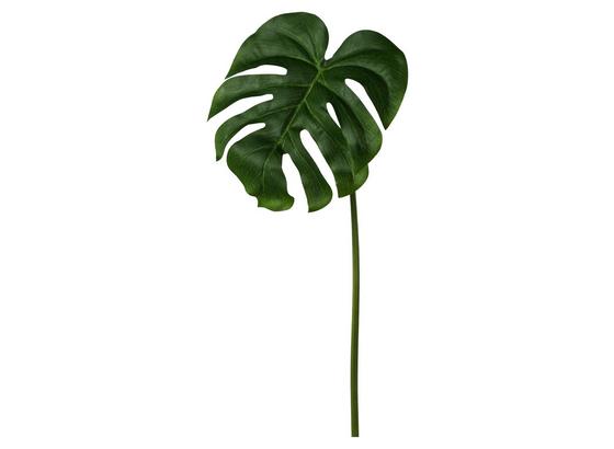 Dekoblatt Splitphiloblatt Roman - Grün, Natur, Kunststoff (73cm) Dekoblatt Splitphiloblatt Roman - Grün, Natur, Kunststoff (73cm)