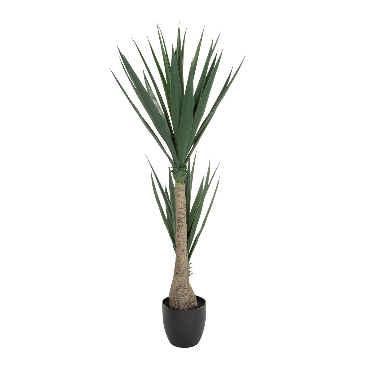 Kunstpflanze Yucca - Schwarz/Braun, Basics, Kunststoff (50/135/50cm) - MID.YOU