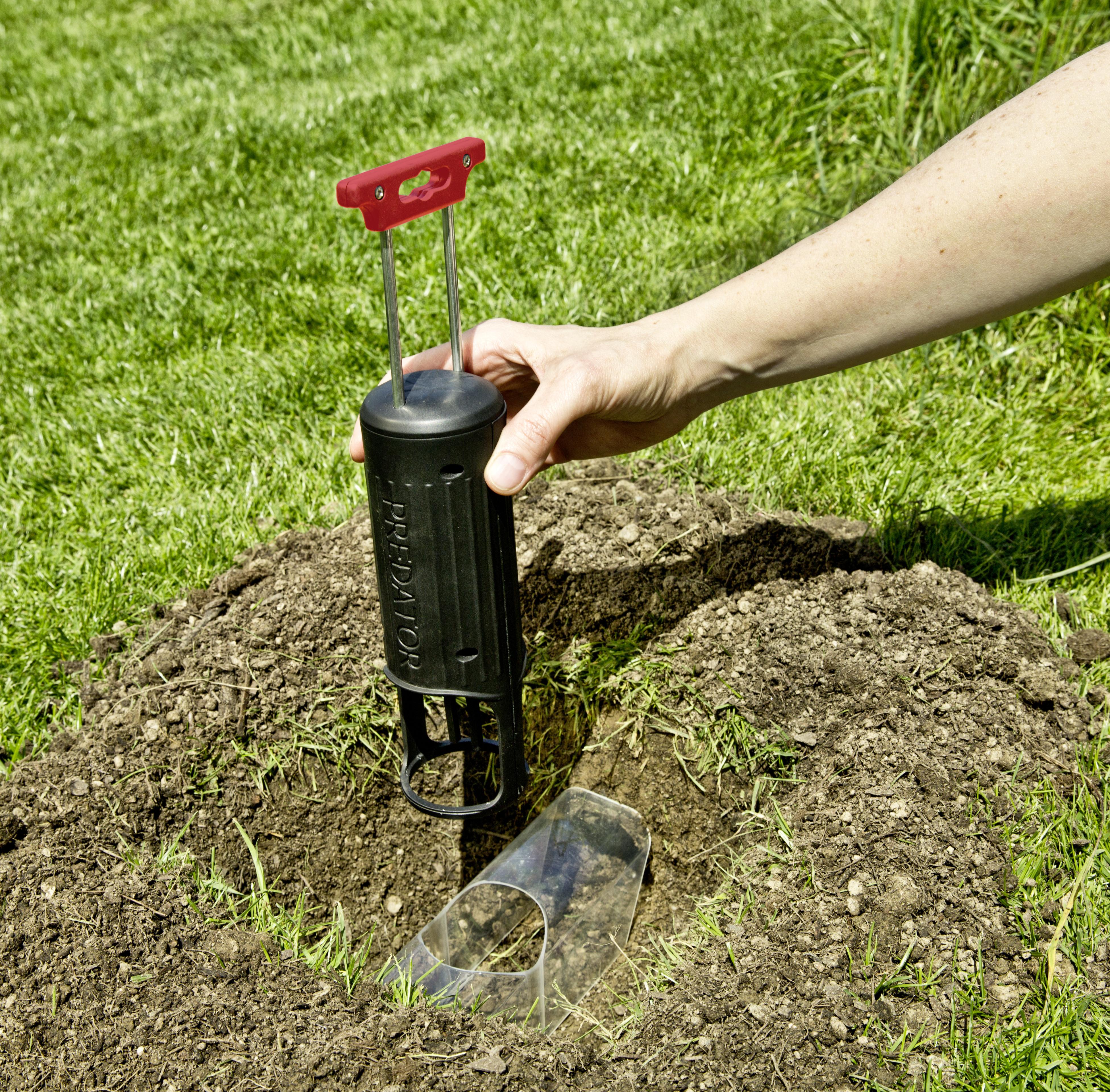 Wühlmausfalle PREDATOR