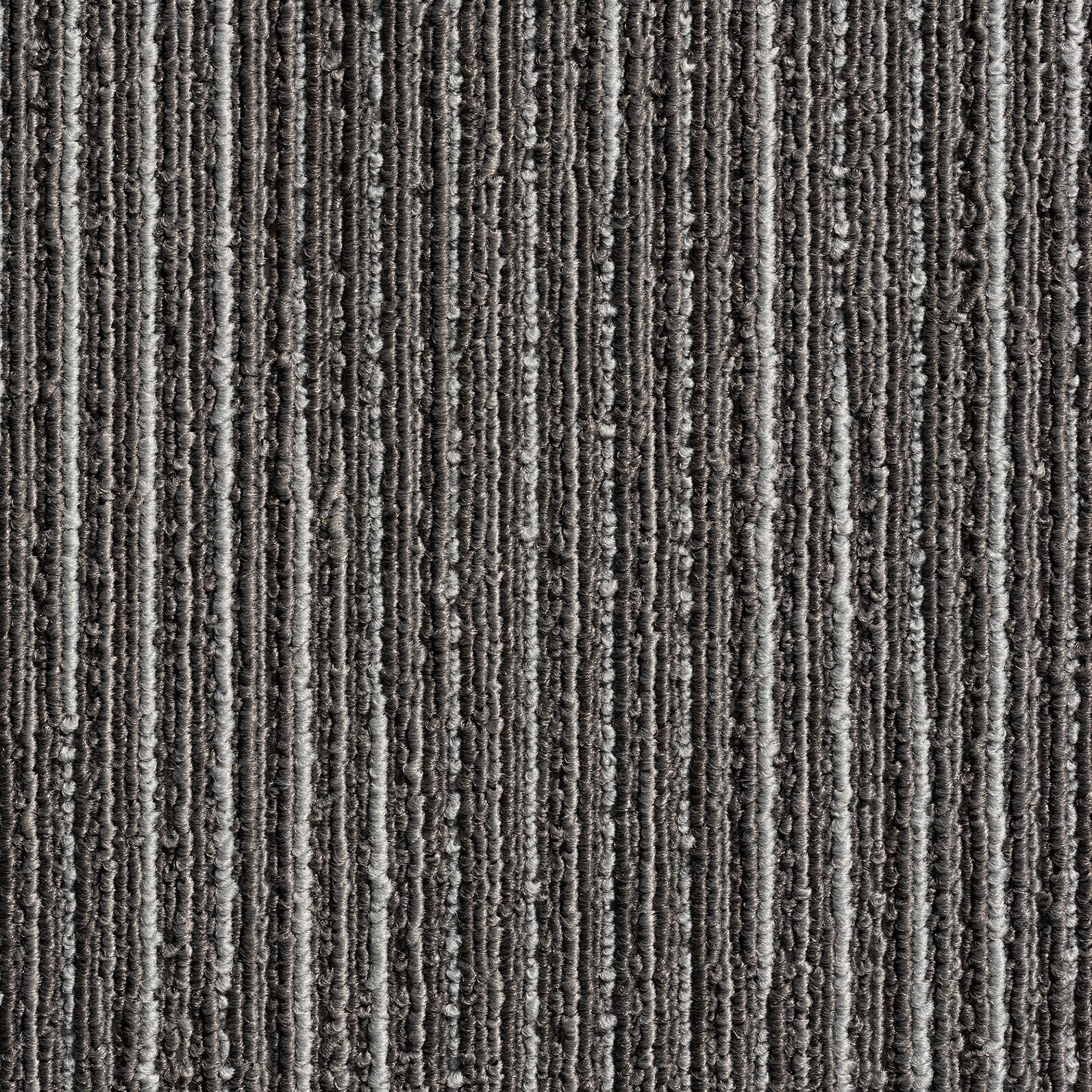 Teppichfliese Hellgrau Essential 50x50cm Florhöhe 3mm - Hellgrau, Basics, Textil (50/50cm)