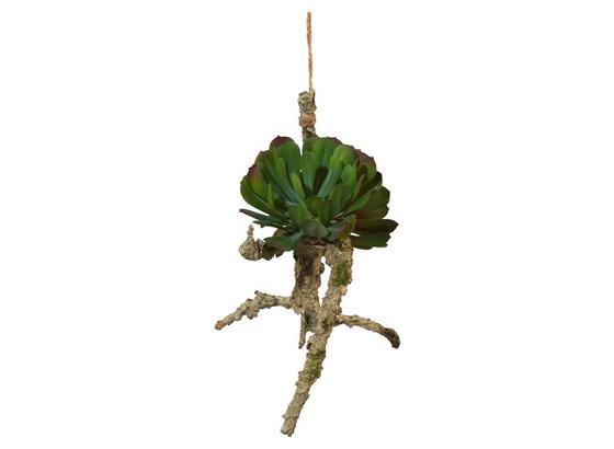 Rostlina Umělá Sukkulente Auf Ast I - šedá/zelená, Natur, umělá hmota (23/19cm) Rostlina Umělá Sukkulente Auf Ast I - šedá/zelená, Natur, umělá hmota (23/19cm)