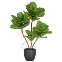 Kunstpflanze Ficus Lyrata Kunststoff, Grün, H: 65 cm - Schwarz/Braun, Basics, Kunststoff (65cm) - P & B