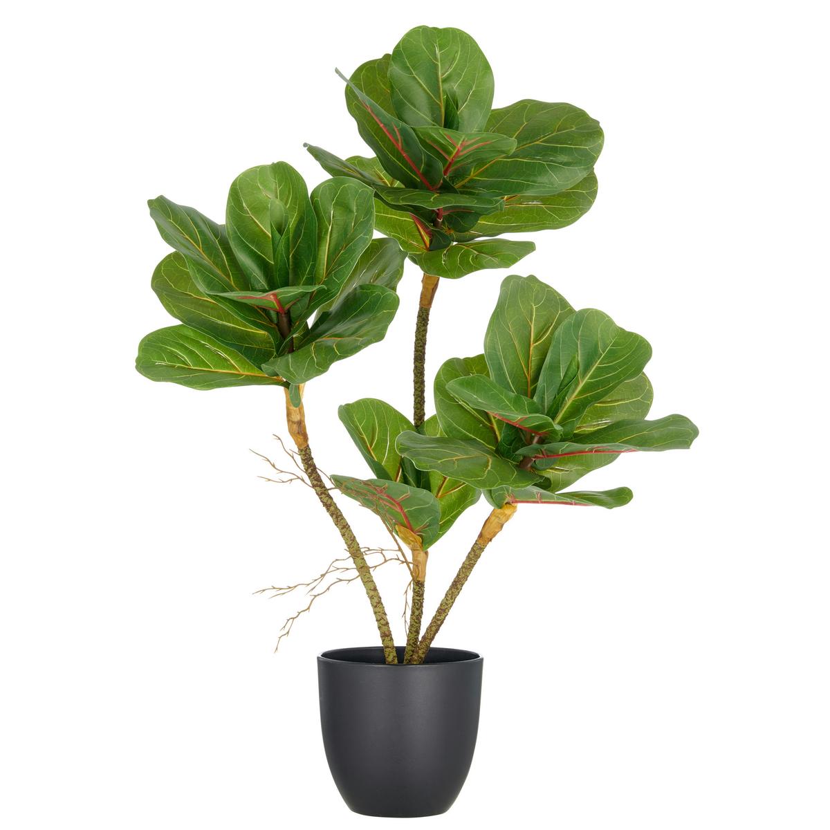 Kunstpflanze Ficus Lyrata Kunststoff, Grün, H: 65 cm - Schwarz/Braun, Basics, Kunststoff (65cm) - P & B