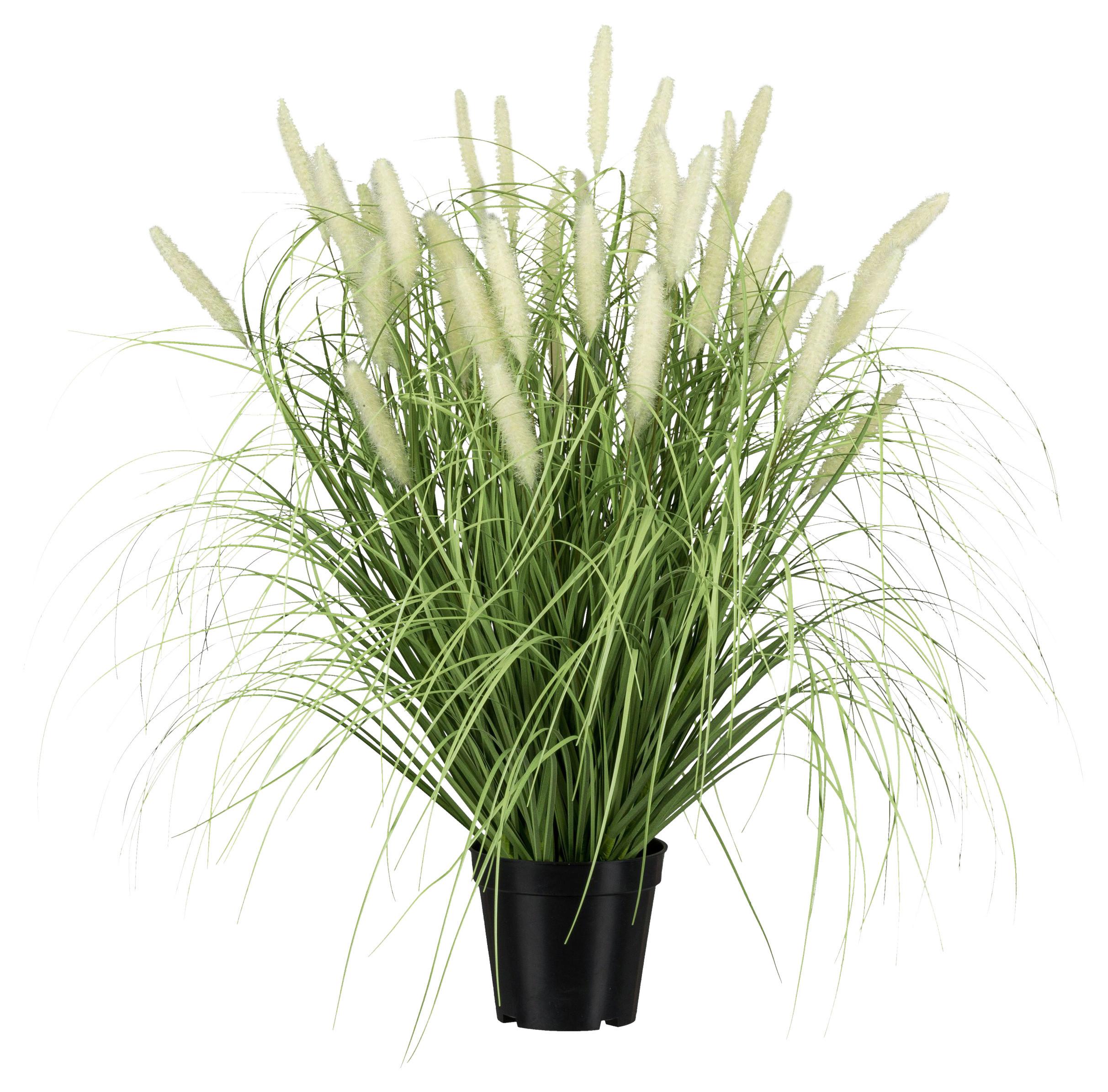Umělá rostlina Výška 65 cm - černá/zelená, Basics, plast (65cm)